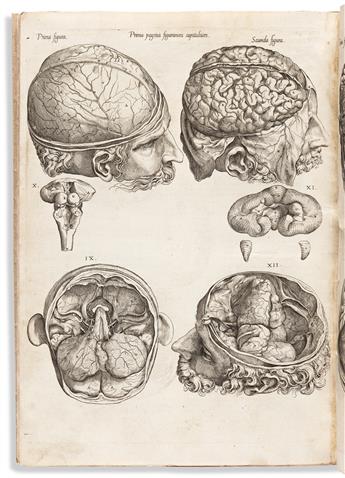 Geminus, Thomas (d. 1562) Compendiosa Totius Anatomie Delineatio.